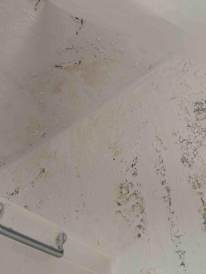 漏水處理案件圖片