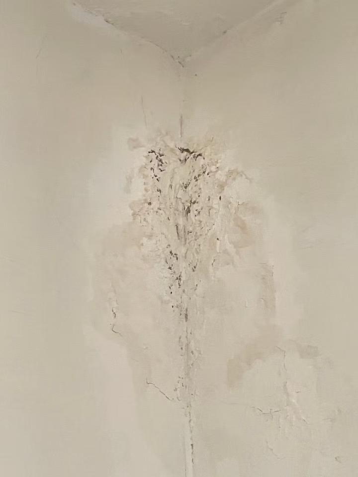 抓漏案件圖片