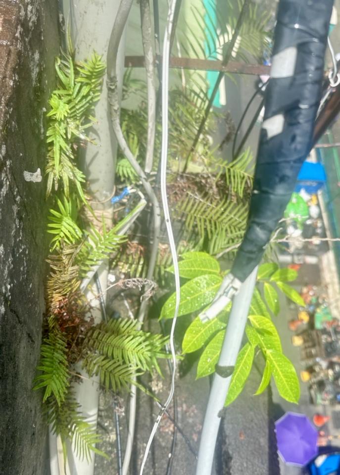 屋頂防水案件圖片
