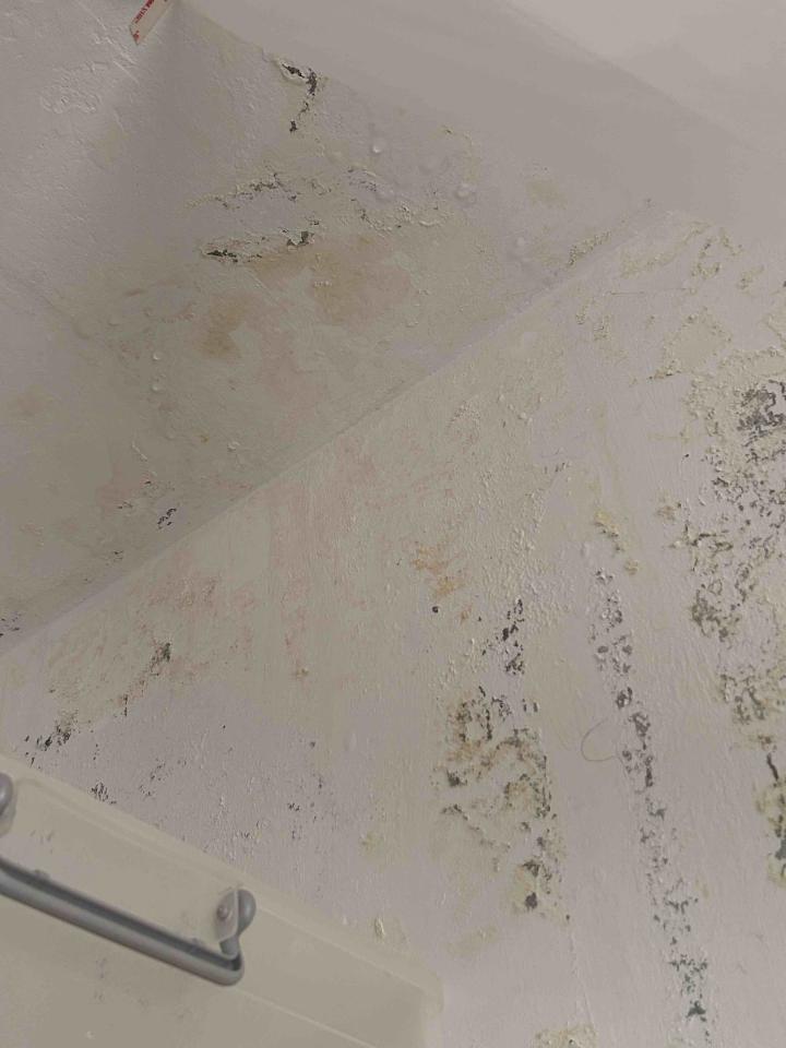 漏水處理案件圖片