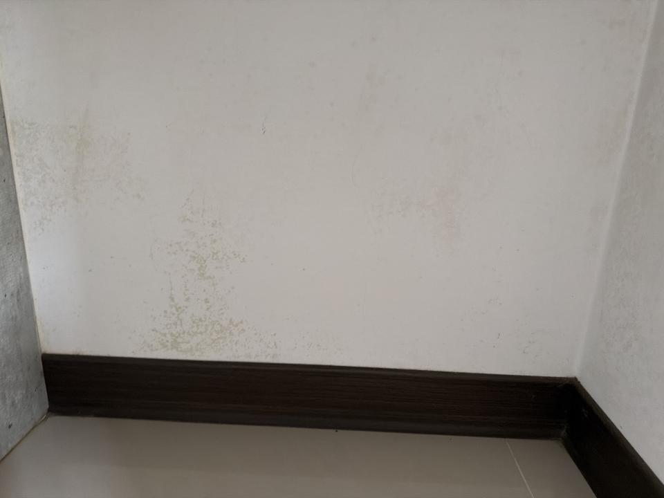 除霉案件圖片