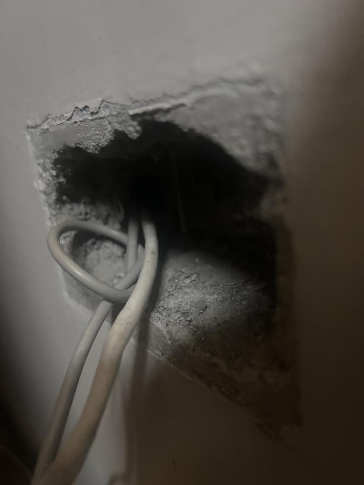 拉網路線案件圖片