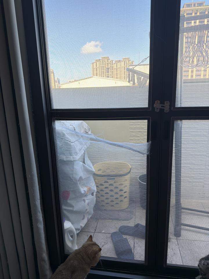 紗窗裝修案件圖片