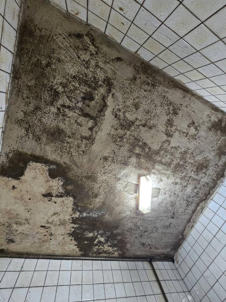 油漆工程案件圖片
