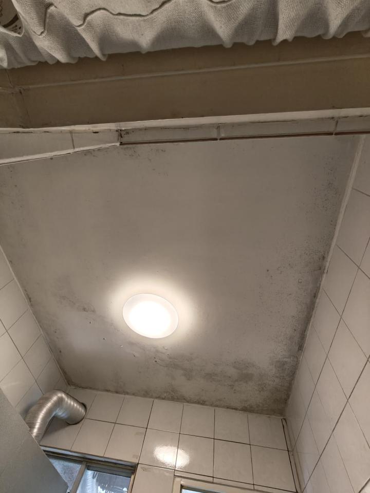 抓漏案件圖片