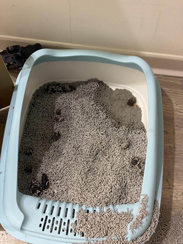 代收垃圾案件圖片