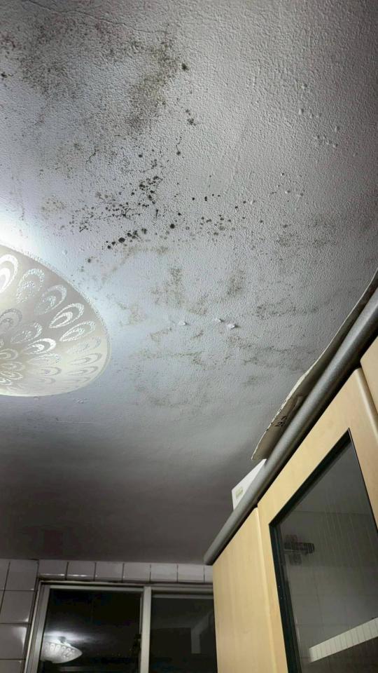漏水處理案件圖片