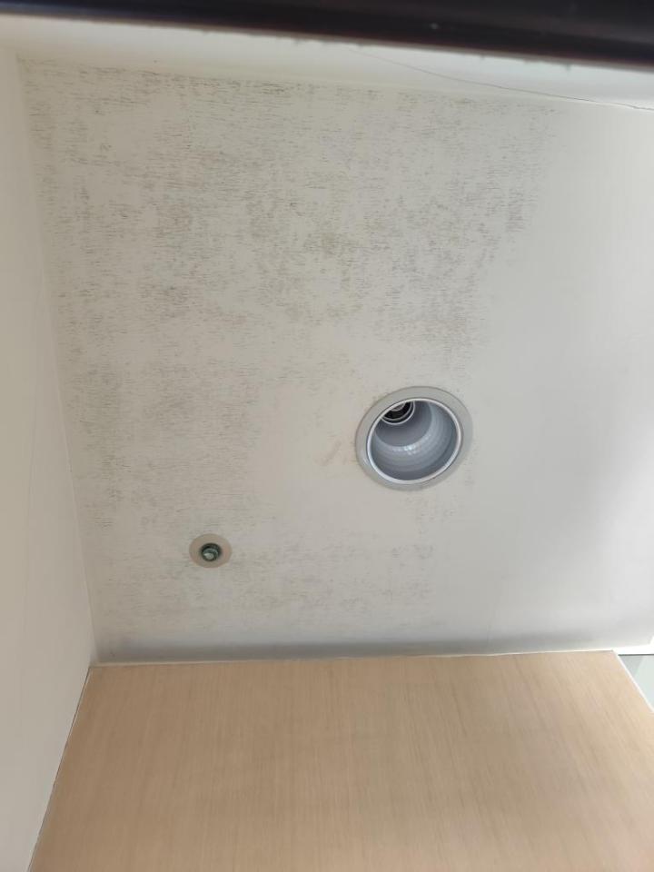 除霉案件圖片