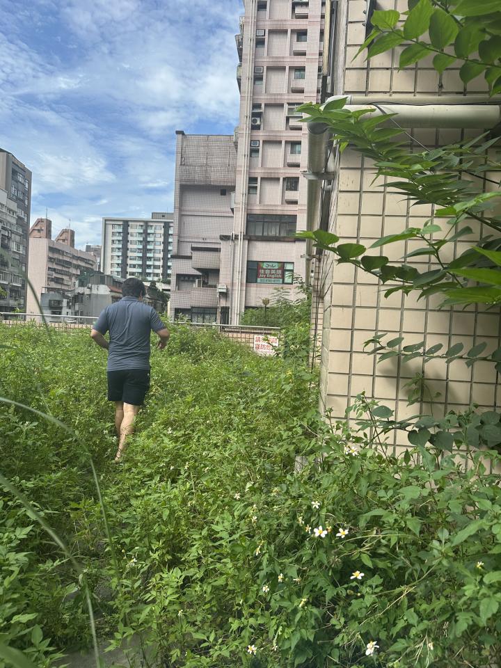 園藝維護案件圖片
