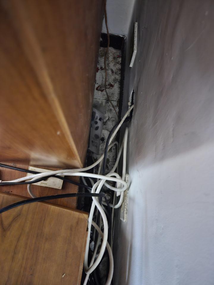 拉網路線案件圖片