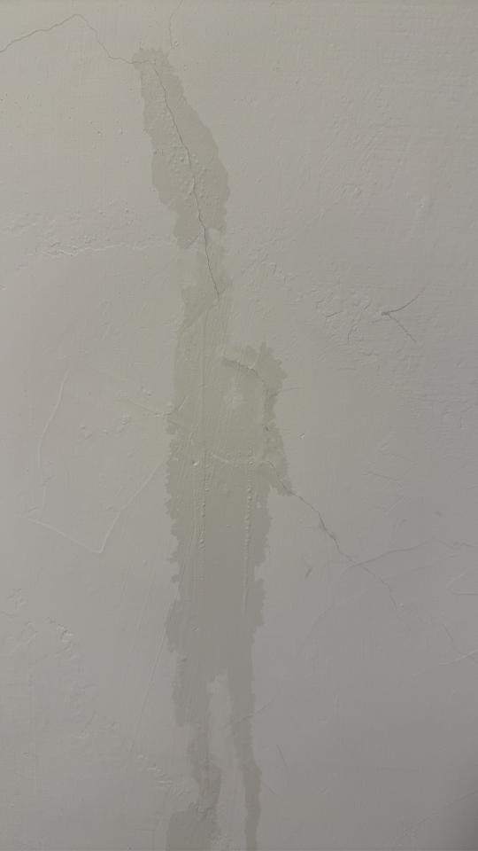 抓漏案件圖片