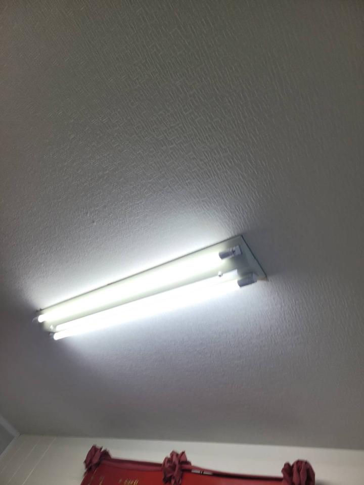 壁紙施工案件圖片