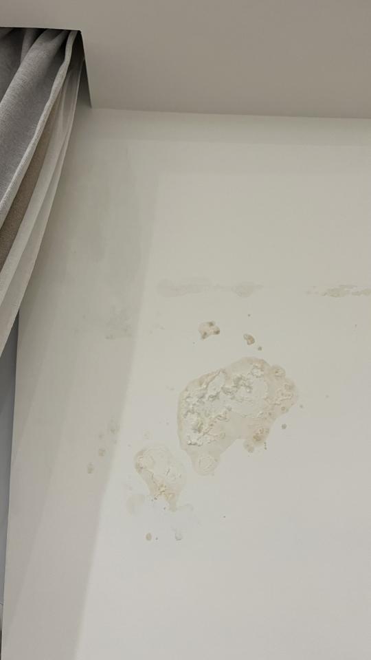壁癌處理案件圖片