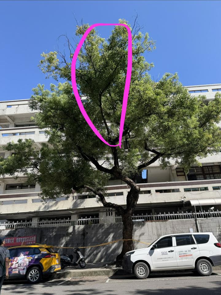園藝維護案件圖片