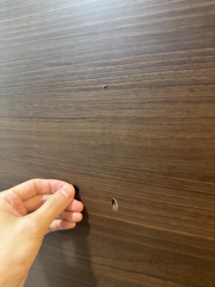 門片維修案件圖片