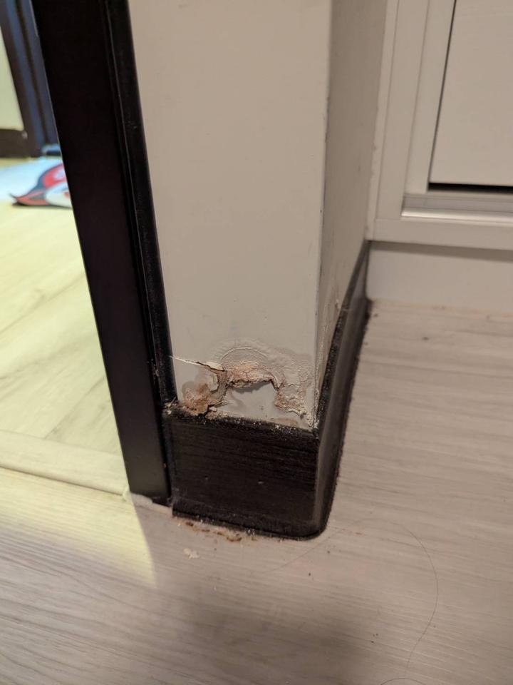 壁癌處理案件圖片
