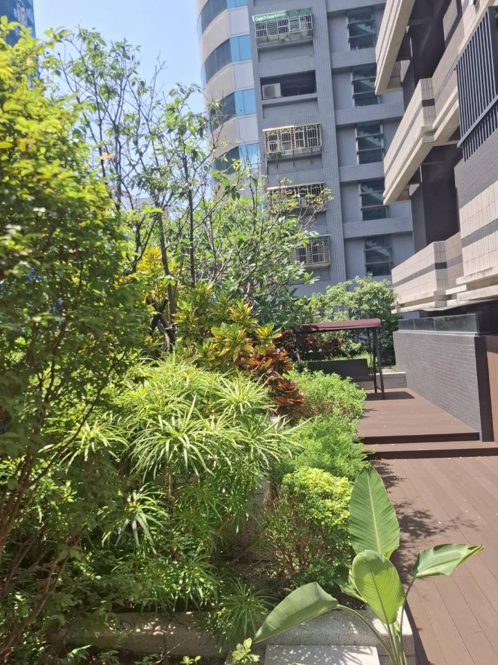園藝維護案件圖片