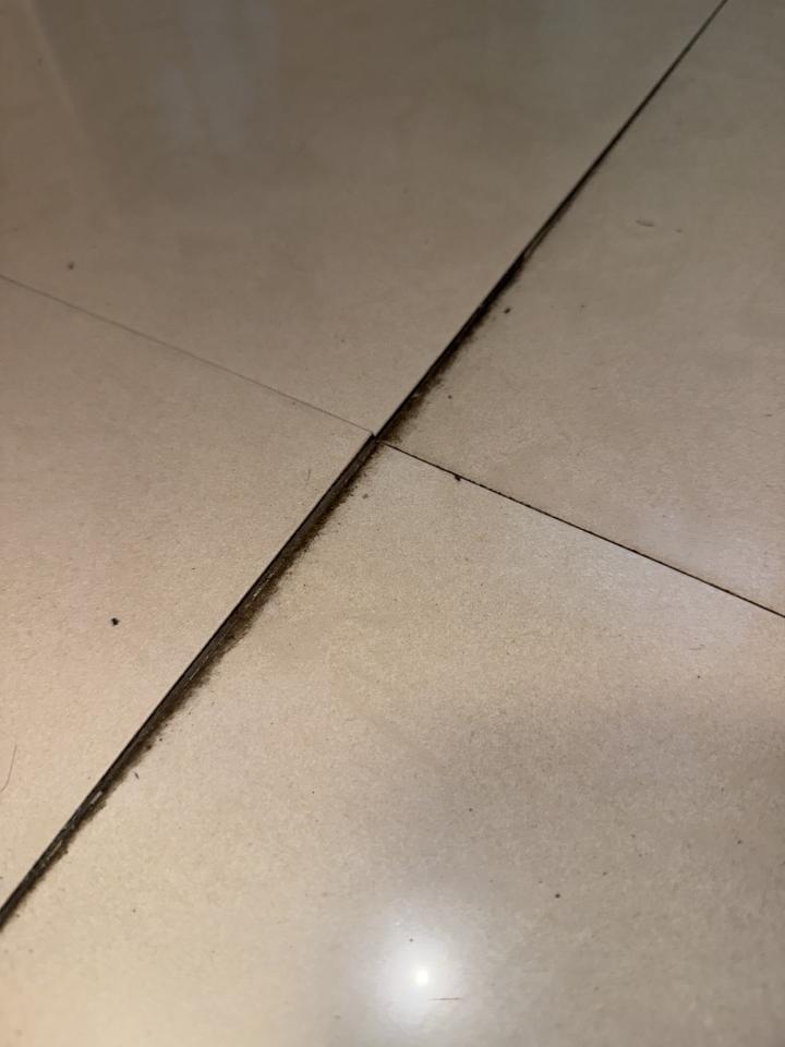 泥作/水泥施工案件圖片