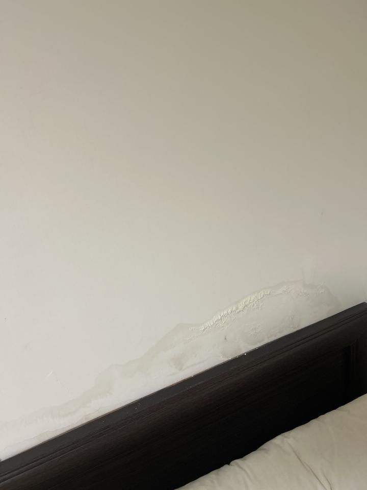 壁癌處理案件圖片