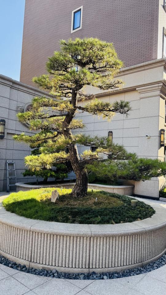 園藝維護案件圖片