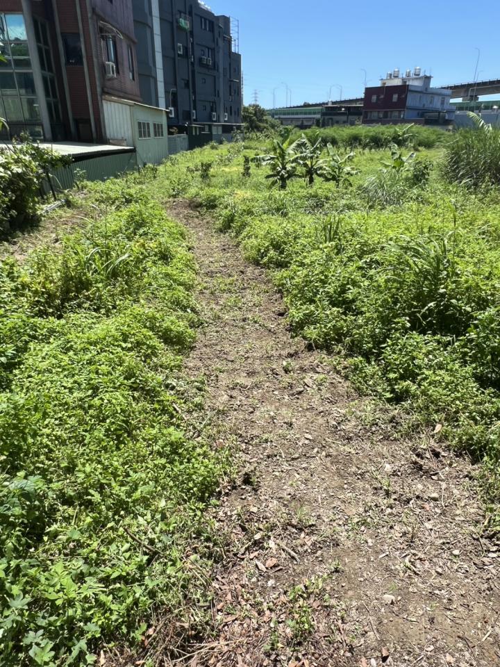 園藝維護案件圖片