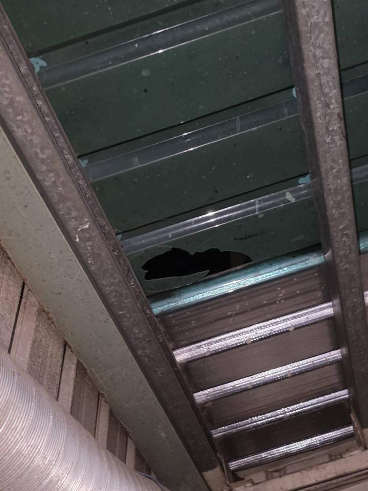 採光罩案件圖片