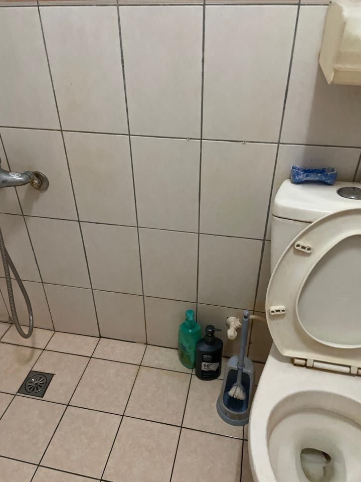浴室扶手安裝案件圖片