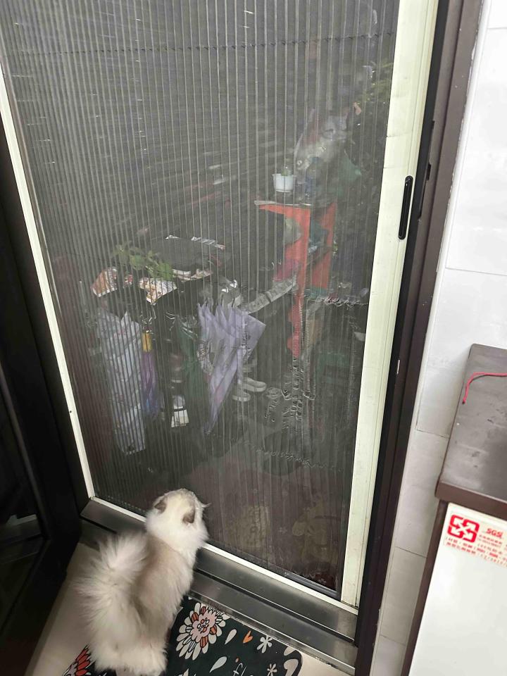 紗窗裝修案件圖片