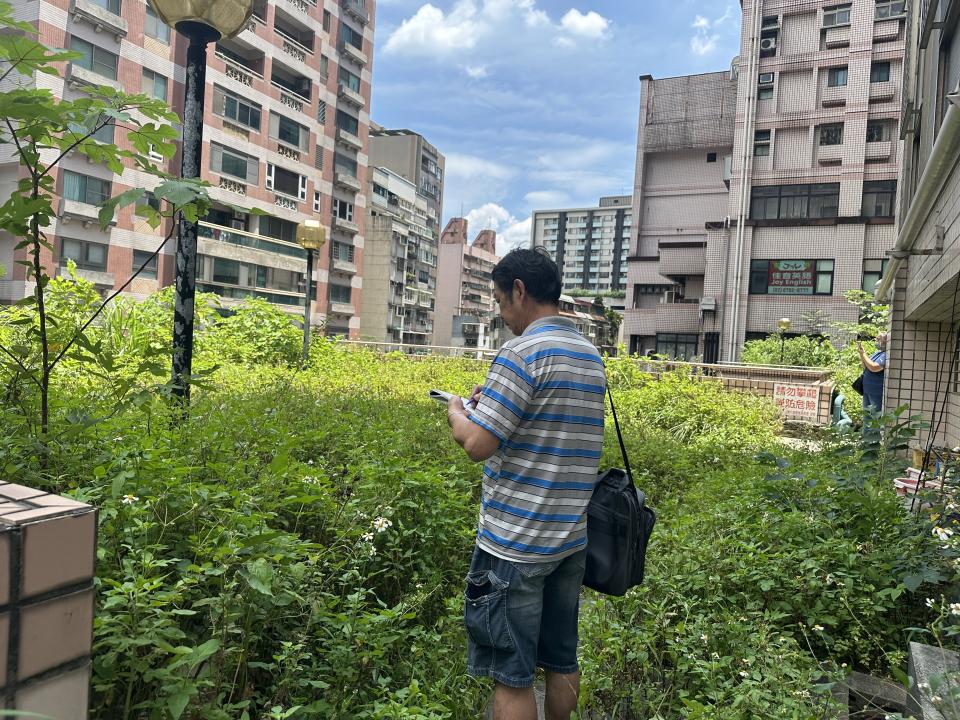 園藝維護案件圖片
