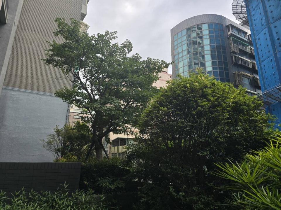園藝維護案件圖片