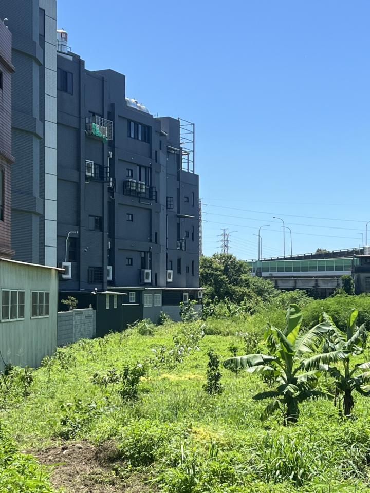 園藝維護案件圖片