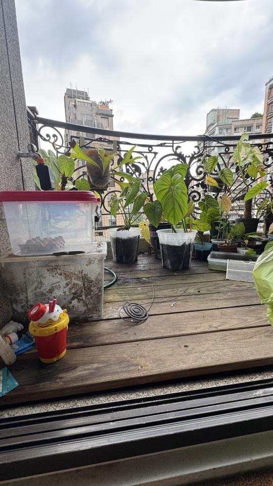 拆除工程案件圖片