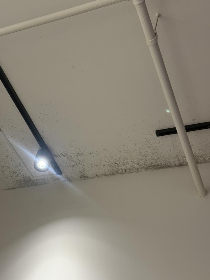 除霉案件圖片