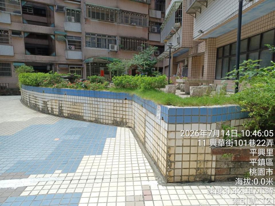 園藝維護案件圖片