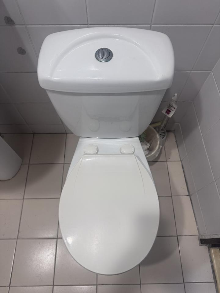 馬桶裝修案件圖片