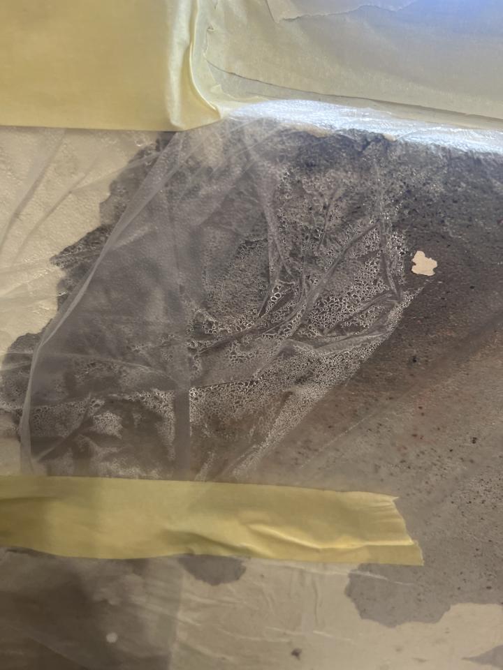抓漏案件圖片