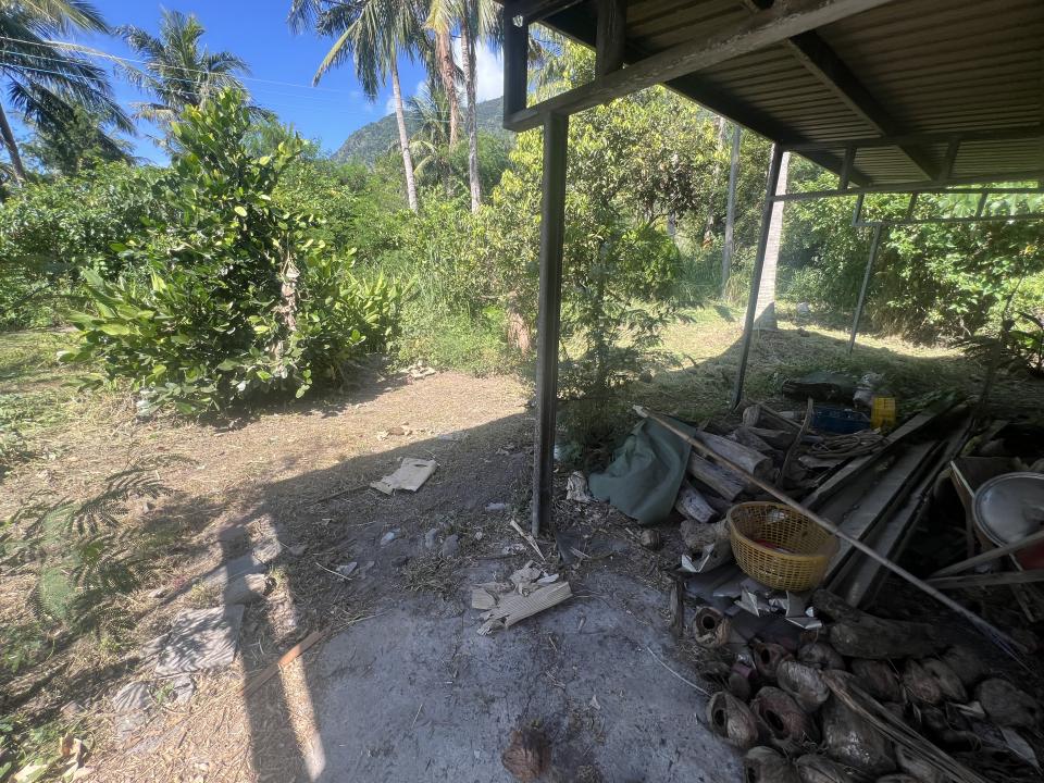 園藝維護案件圖片
