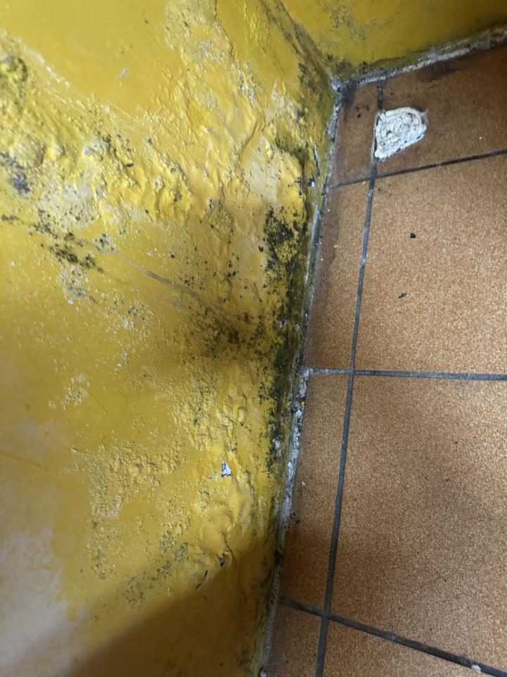 漏水處理案件圖片