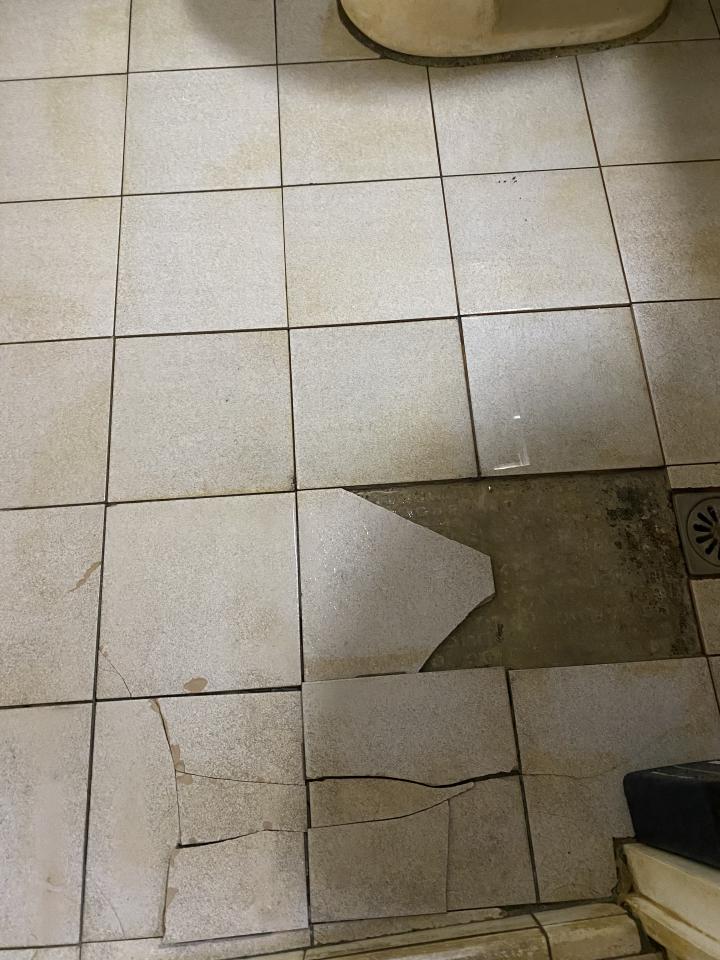 磁磚修補案件圖片
