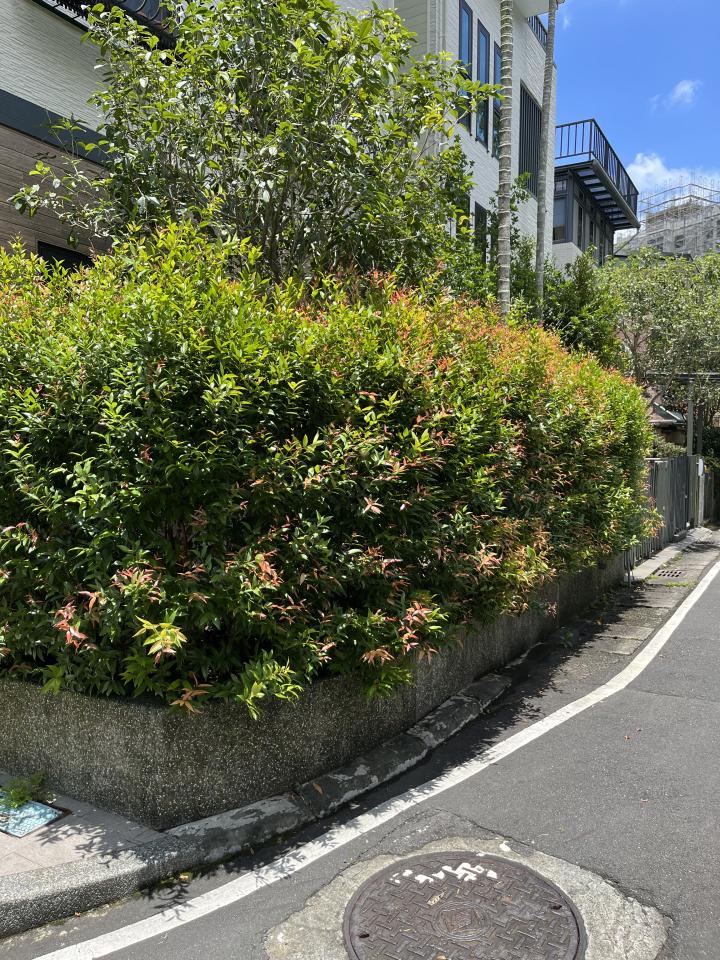 園藝維護案件圖片