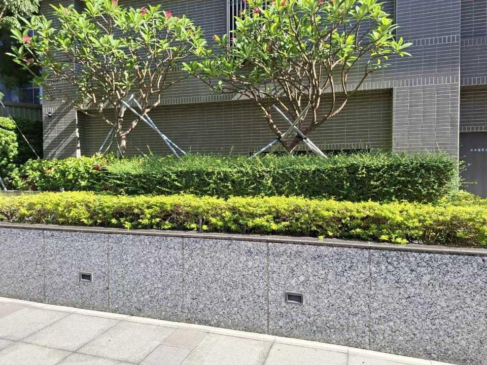園藝維護案件圖片