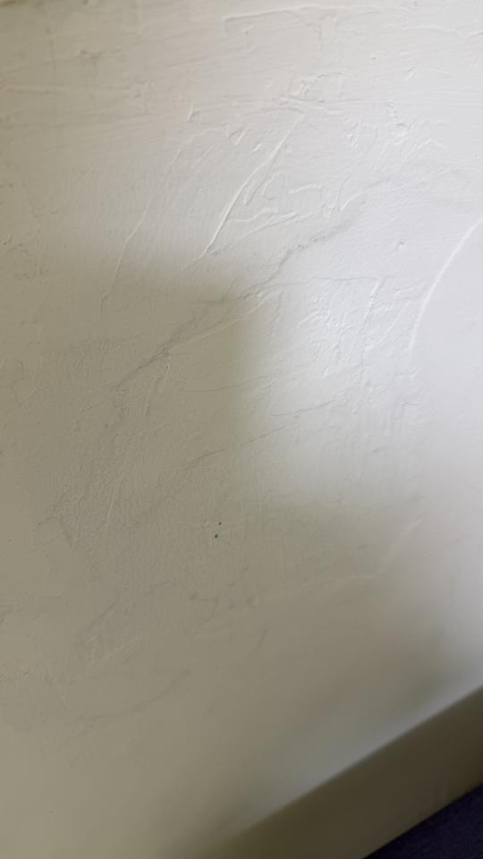 油漆工程案件圖片