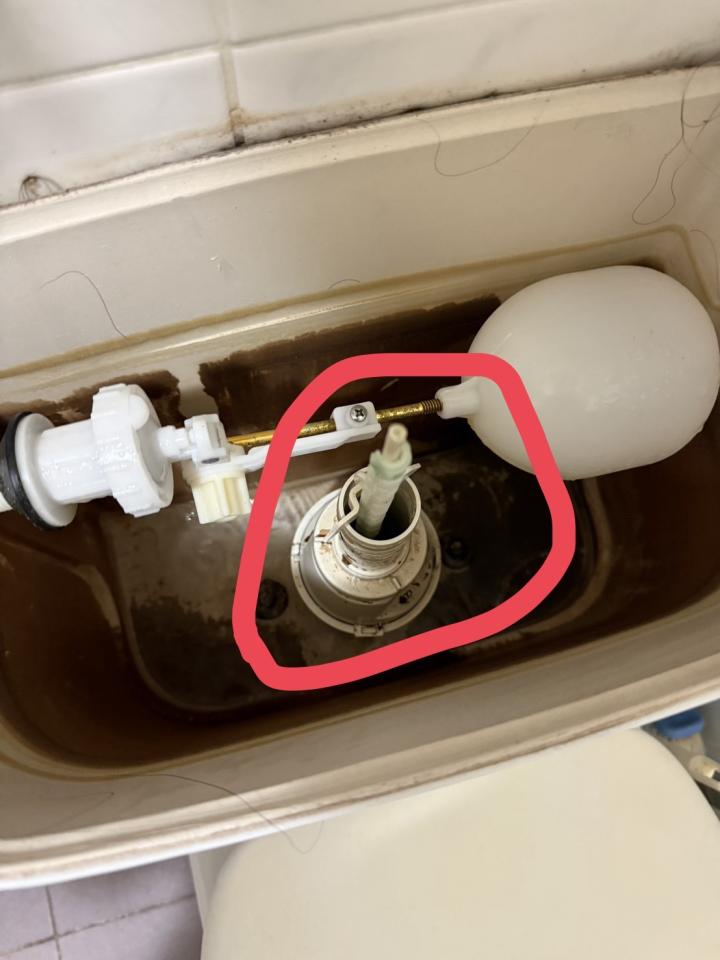 馬桶裝修案件圖片