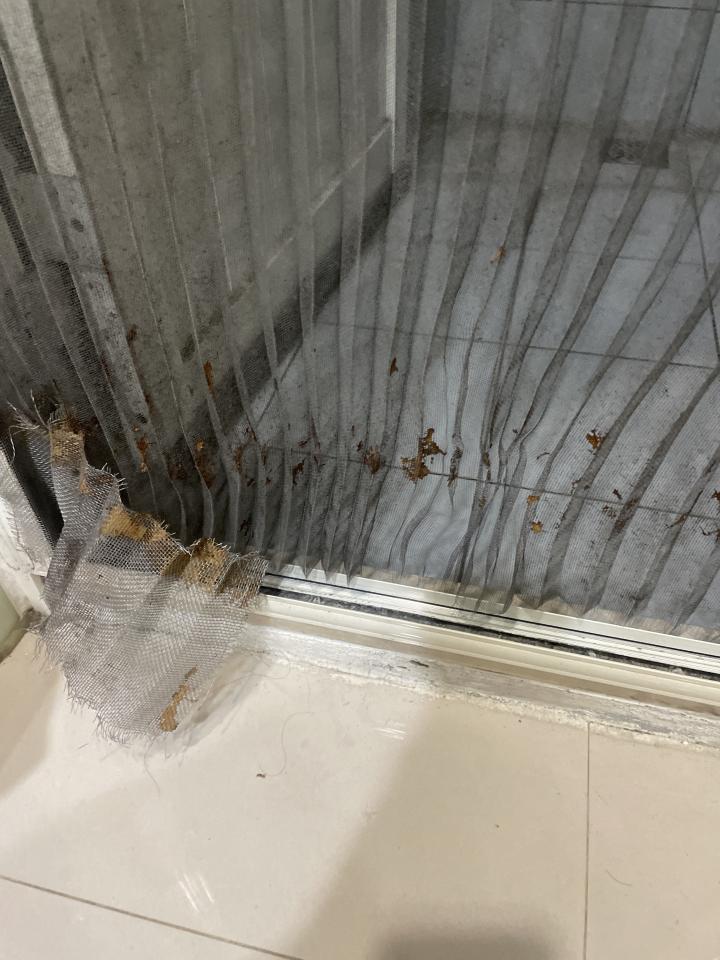 紗窗裝修案件圖片