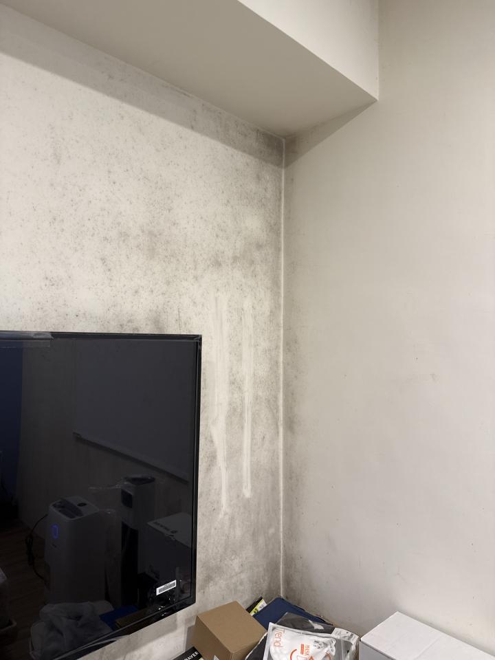 除霉案件圖片