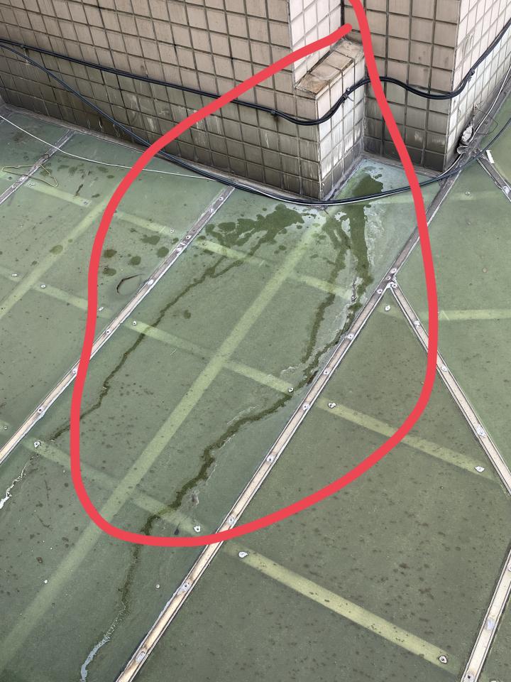 抓漏案件圖片