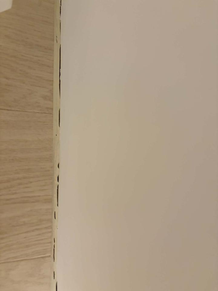 矽利康工程案件圖片