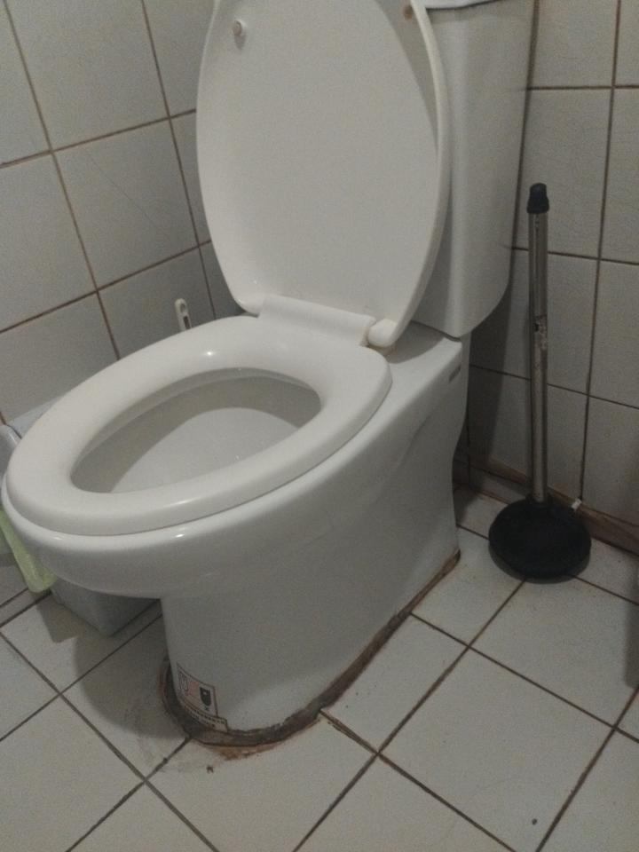 馬桶裝修案件圖片