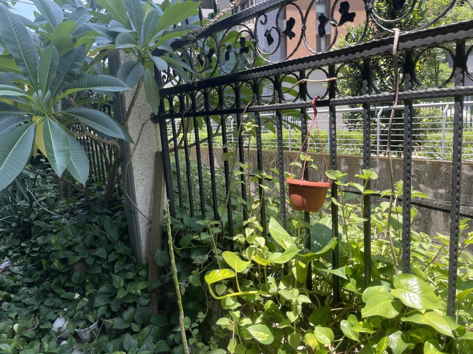 園藝維護案件圖片