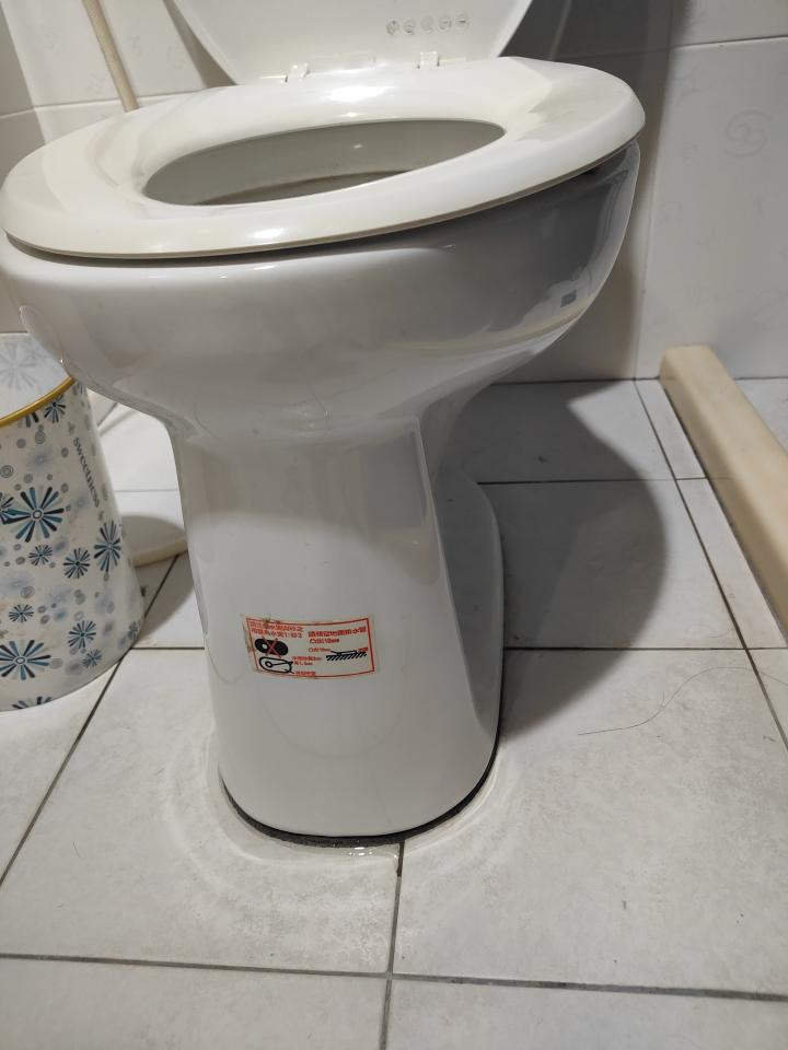 馬桶裝修案件圖片